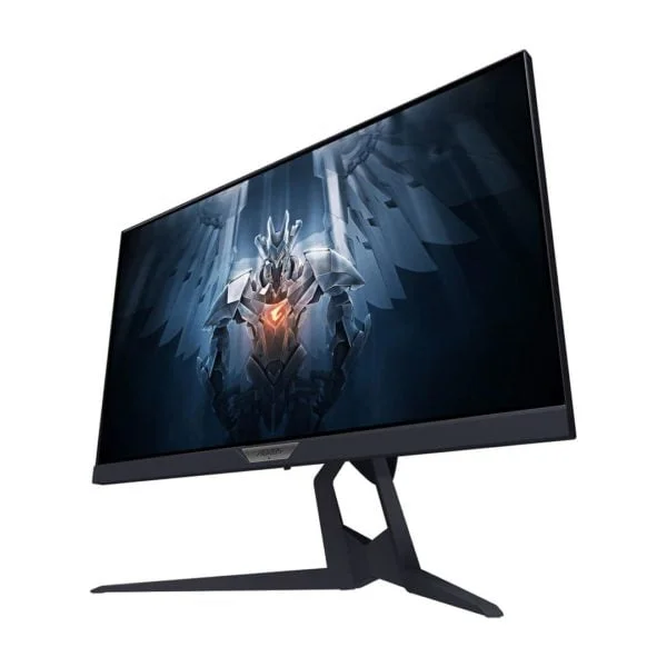 Aorus FI25F – Image 2