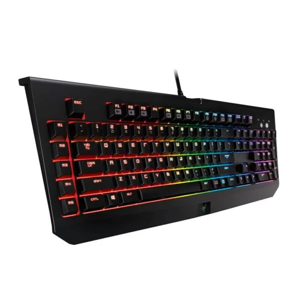 Razer Blackwidow – Image 2