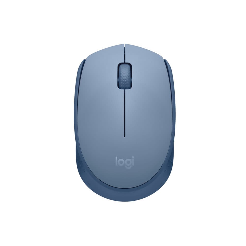 Logitech M171