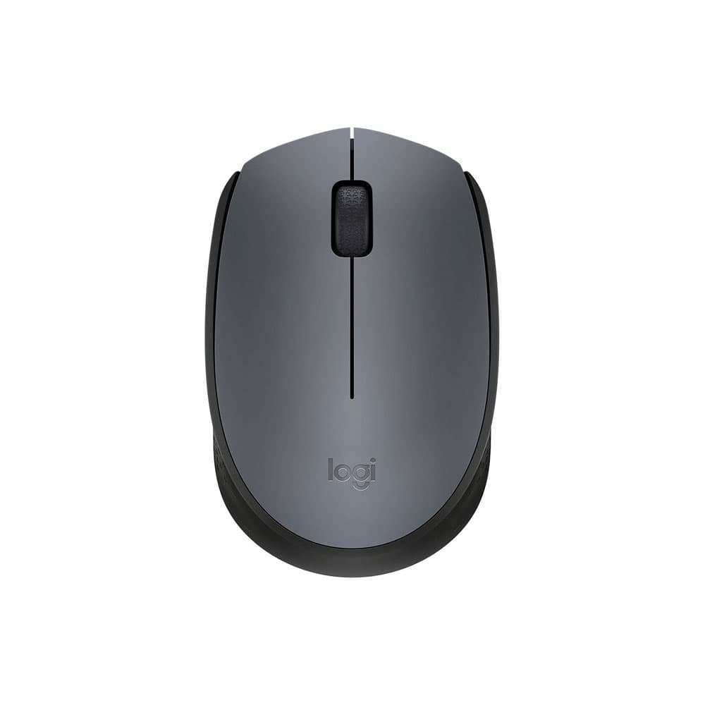 Logitech M170