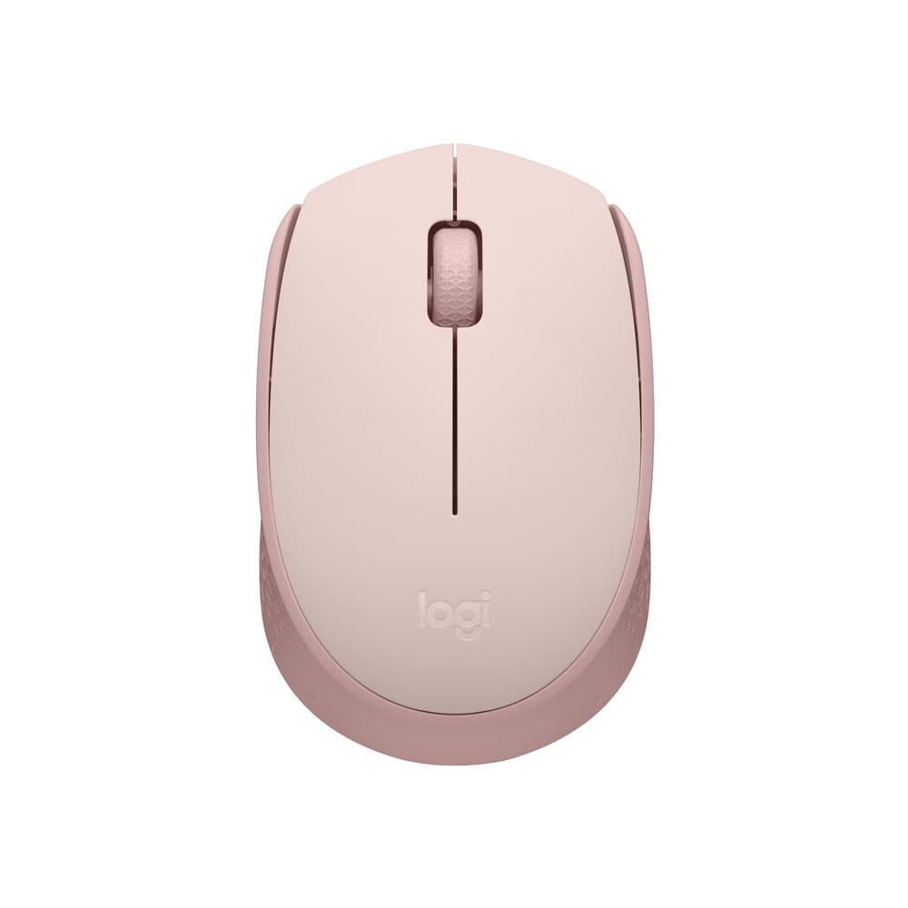 Logitech M171
