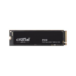 Crucial P310